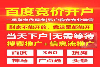 搜索引擎营销（SEM）在本地市场的投放案例